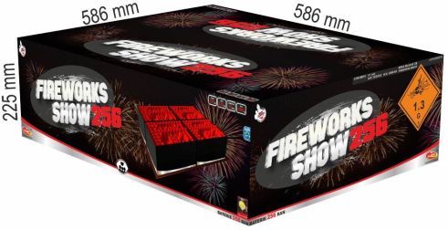 Fireworks Show 256
