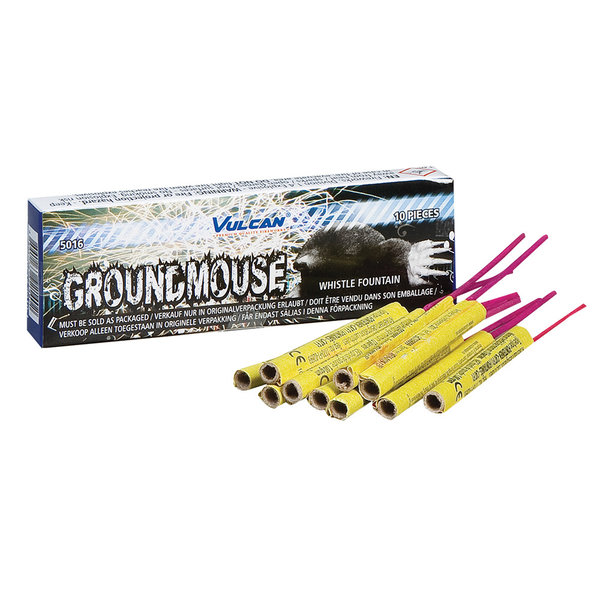 Ground Mouse